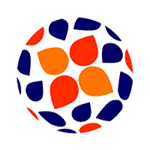 Liga Feminina BPI