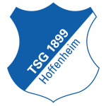 Hoffenheim logo