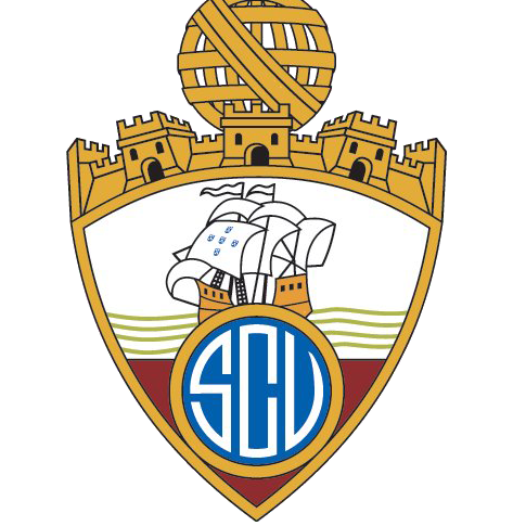Vianense logo