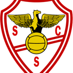 Salgueiros logo